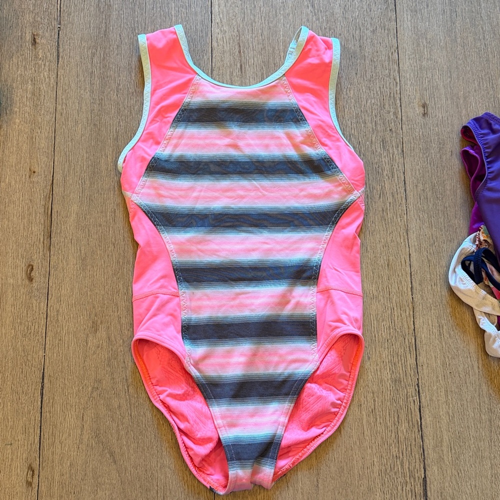 Striped Pink and Gray Leotard